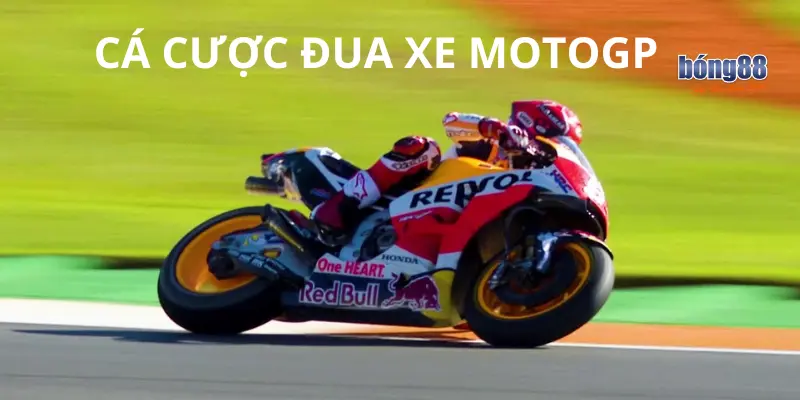 Khám Phá Cách Cá Cược Đua Xe MotoGP Hiệu Quả Cùng Bong88