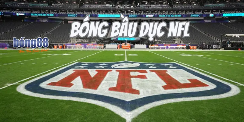 Tìm Hiểu Quy Tắc Cá Cược Bóng Bầu Dục NFL Dễ Dàng